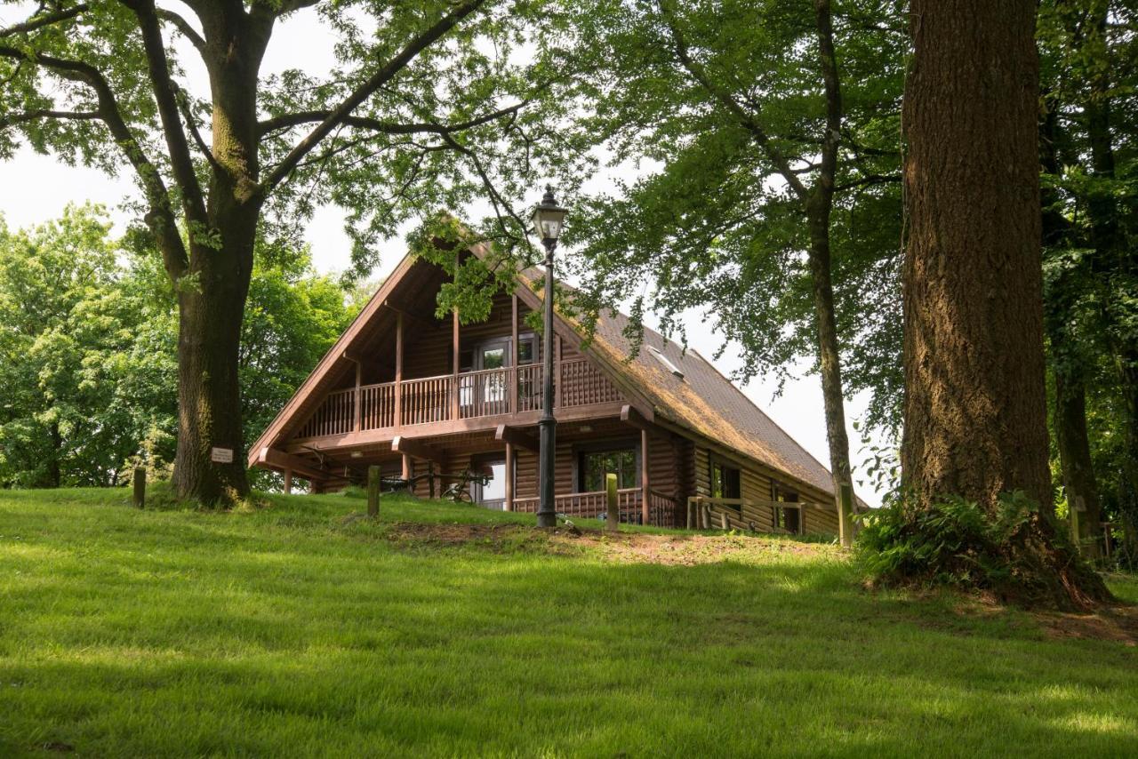 Pantglas Hall And Leisure Club Chalet